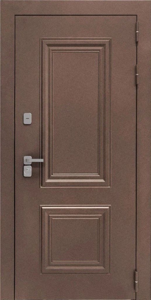 Входная дверь ДвериПРО Д-68 Д-19 (16мм, Грецкий орех + черная патина винорит) DPRO195600 внешняя сторона